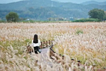 조용한 국내 1박2일 여행지 숨겨진 명소 10선_26