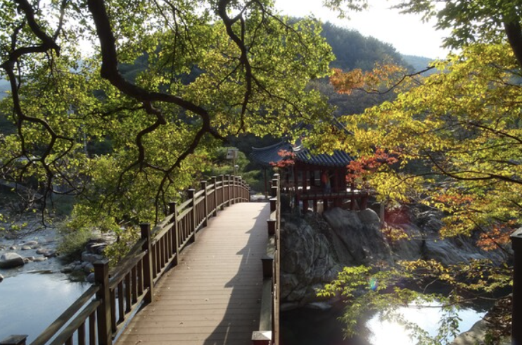 경남 함양 “거연정 &amp; 화림 계곡” — 조선 선비의 풍류 속으로