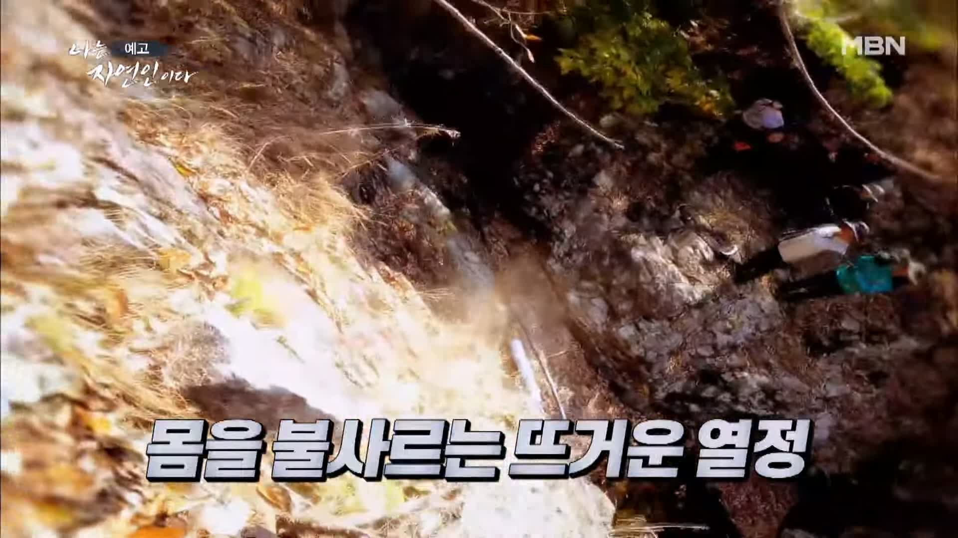 이승윤 윤택 나는 자연인이다 530회 바다에 빠진 그 사나이 자연인 정영희 소개 및 출연 다시보기