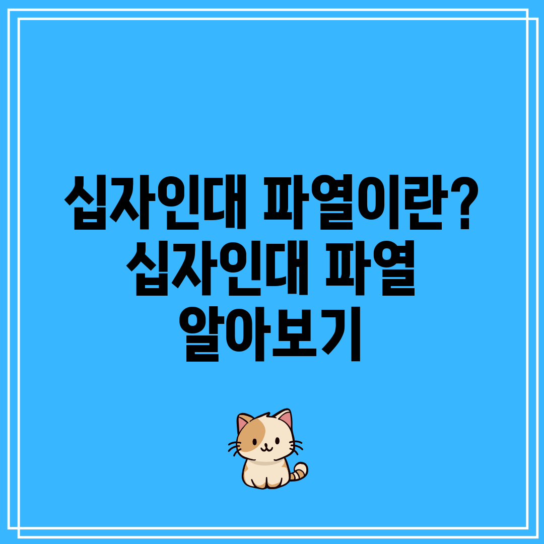 십자인대 파열이란 십자인대 파열 알아보기