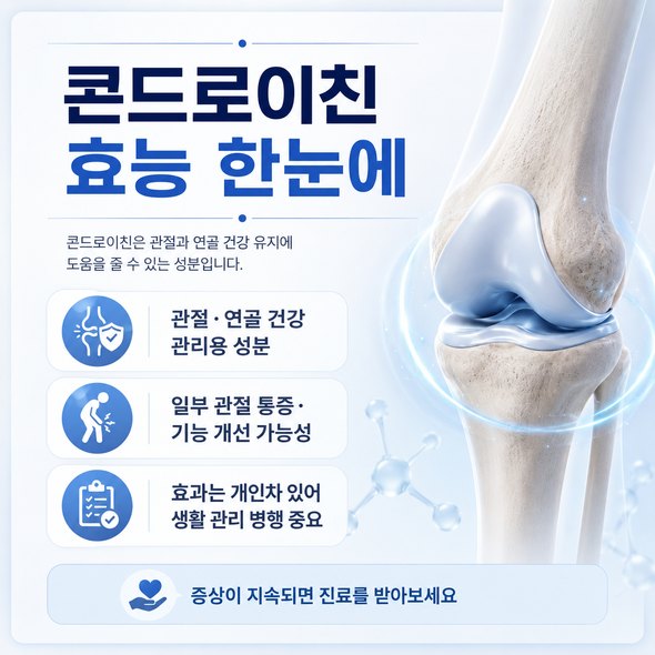 콘드로이친 효능 