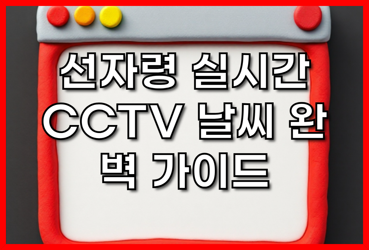 선자령 실시간 CCTV 날씨 완벽 가이드: 겨울왕국 설경부터 안전 산행 정보까지!