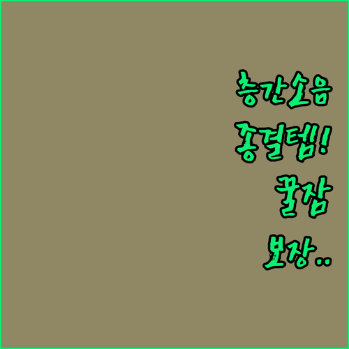 층간소음 방지 털실내화 추천 리스트와..