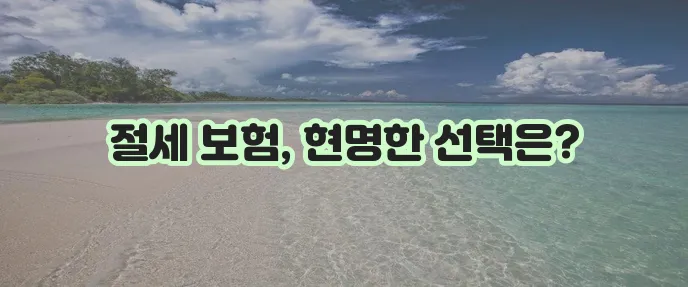세금공제 보장을 위한 보험 상품 선택하기
