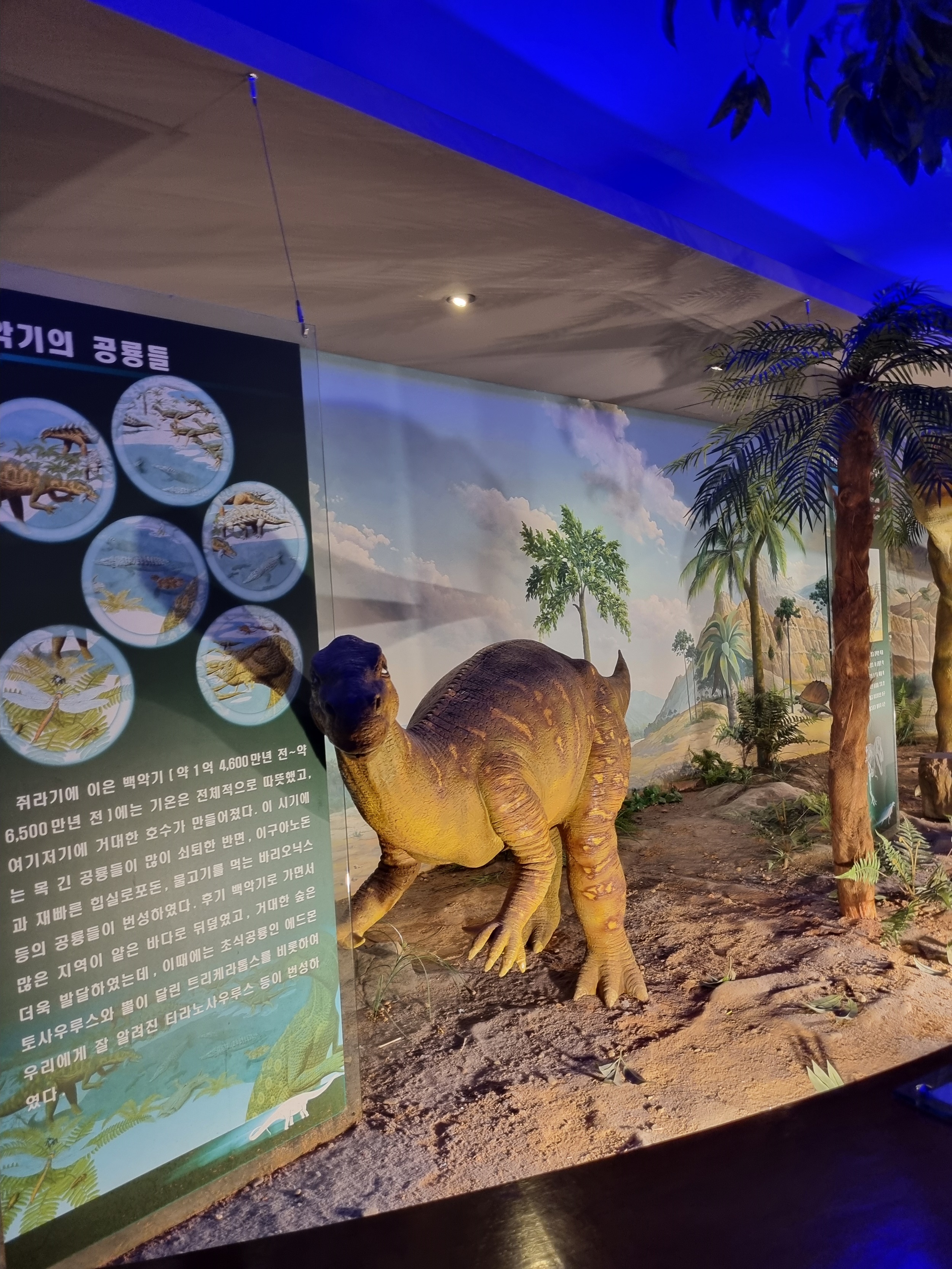 부천 가볼만한 곳 자연생태공원