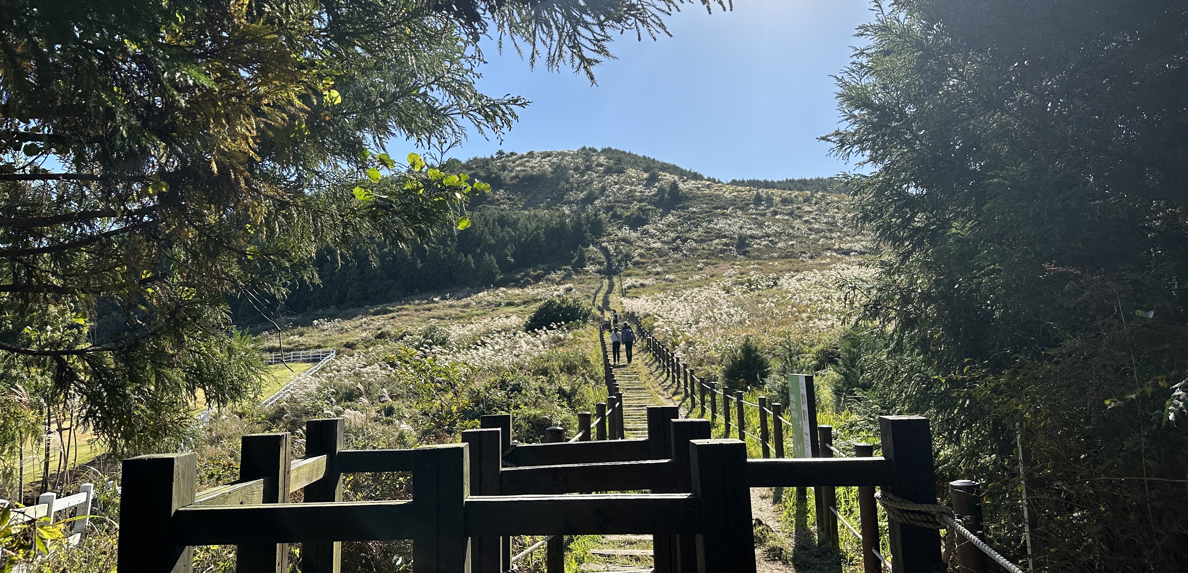 백약이오름 입구