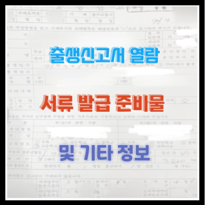 출생신고서 열람 및 서류 발급 준비물 기타 정보