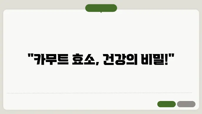 카무트 효소 효능 부작용 만드는법