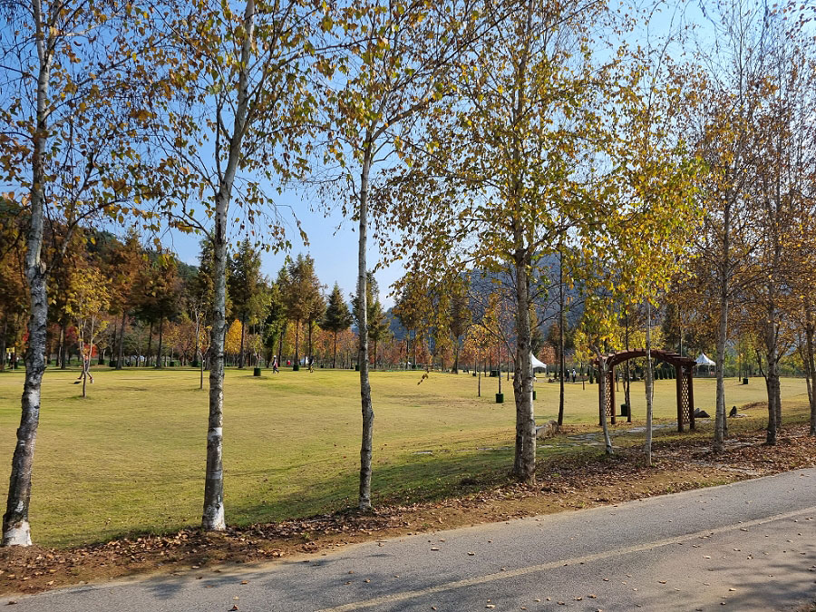 화천 거례리 산천어파크골프장 (산천어파크골프장, 거례리파크골프장, 거례리수목공원 파크골프장) 강원도 화천군 하남면 거례리 473-3번지