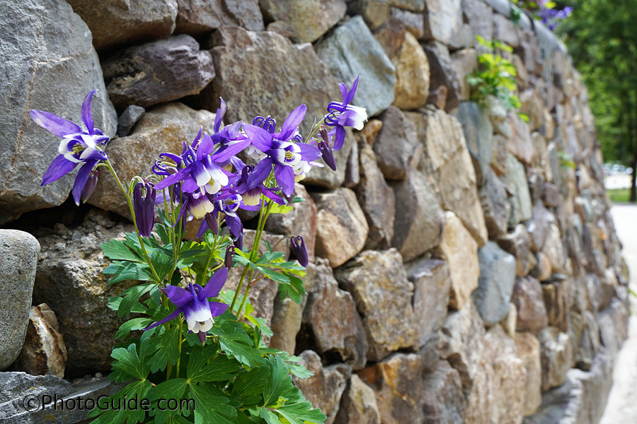 한국의전통_담벼락