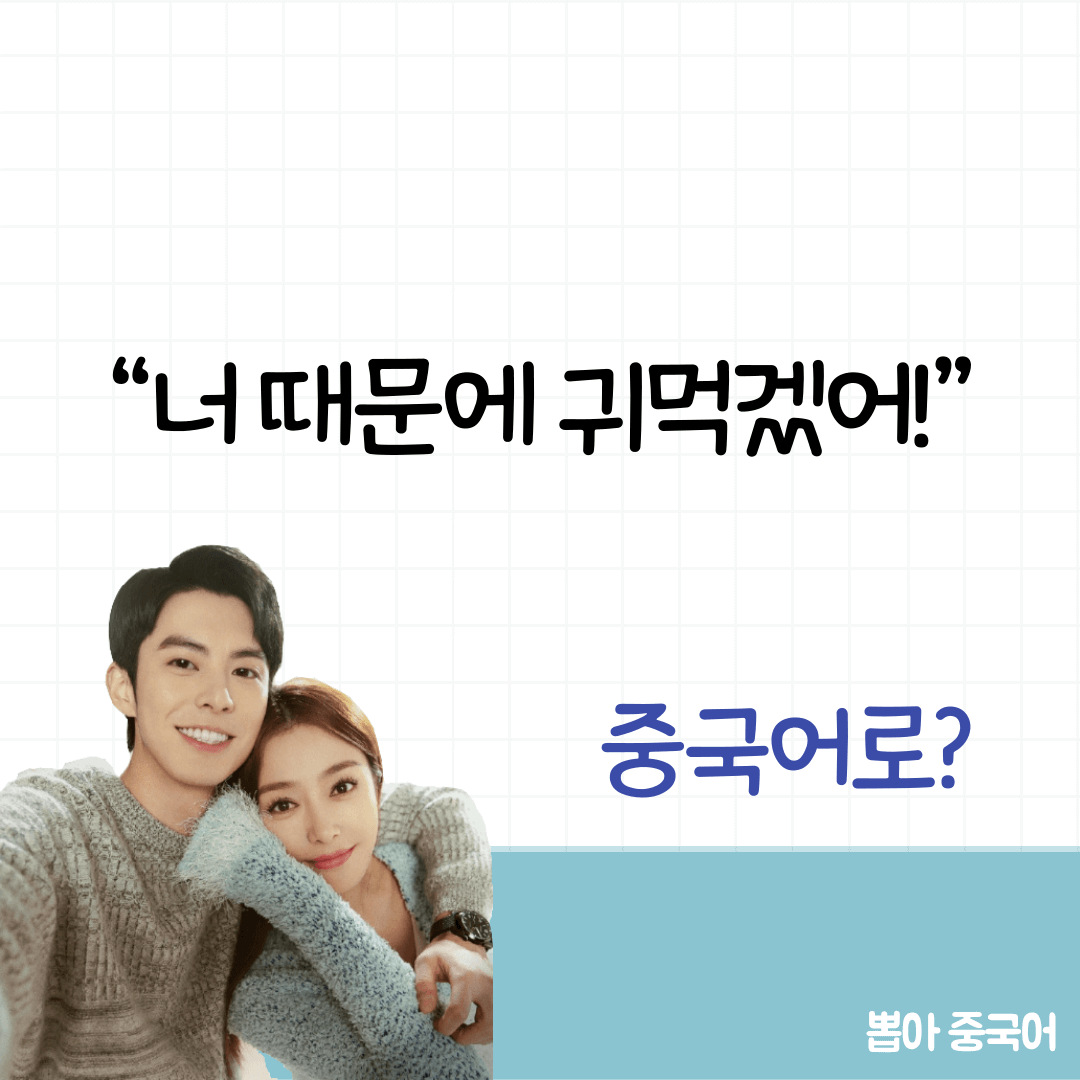 이지파생활
