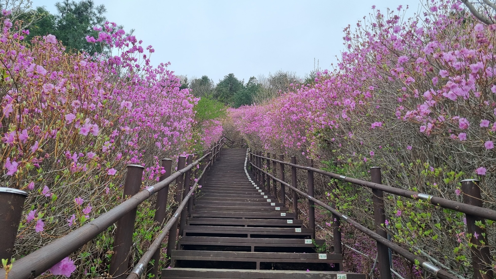 무학산 등산24