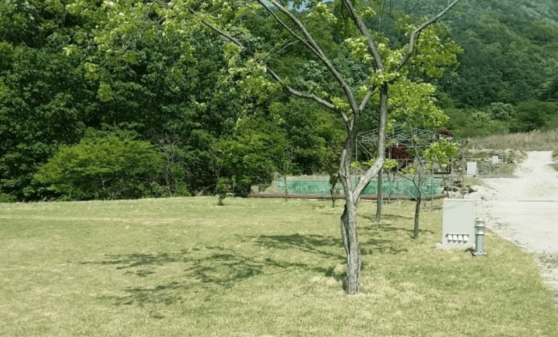 경기-포천-대회산-캠핑장-사진-입니다.