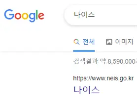 나이스검색