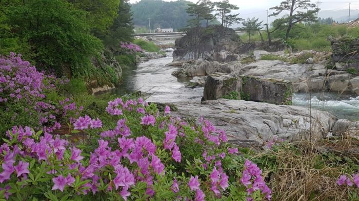 평창 가볼만한곳 
