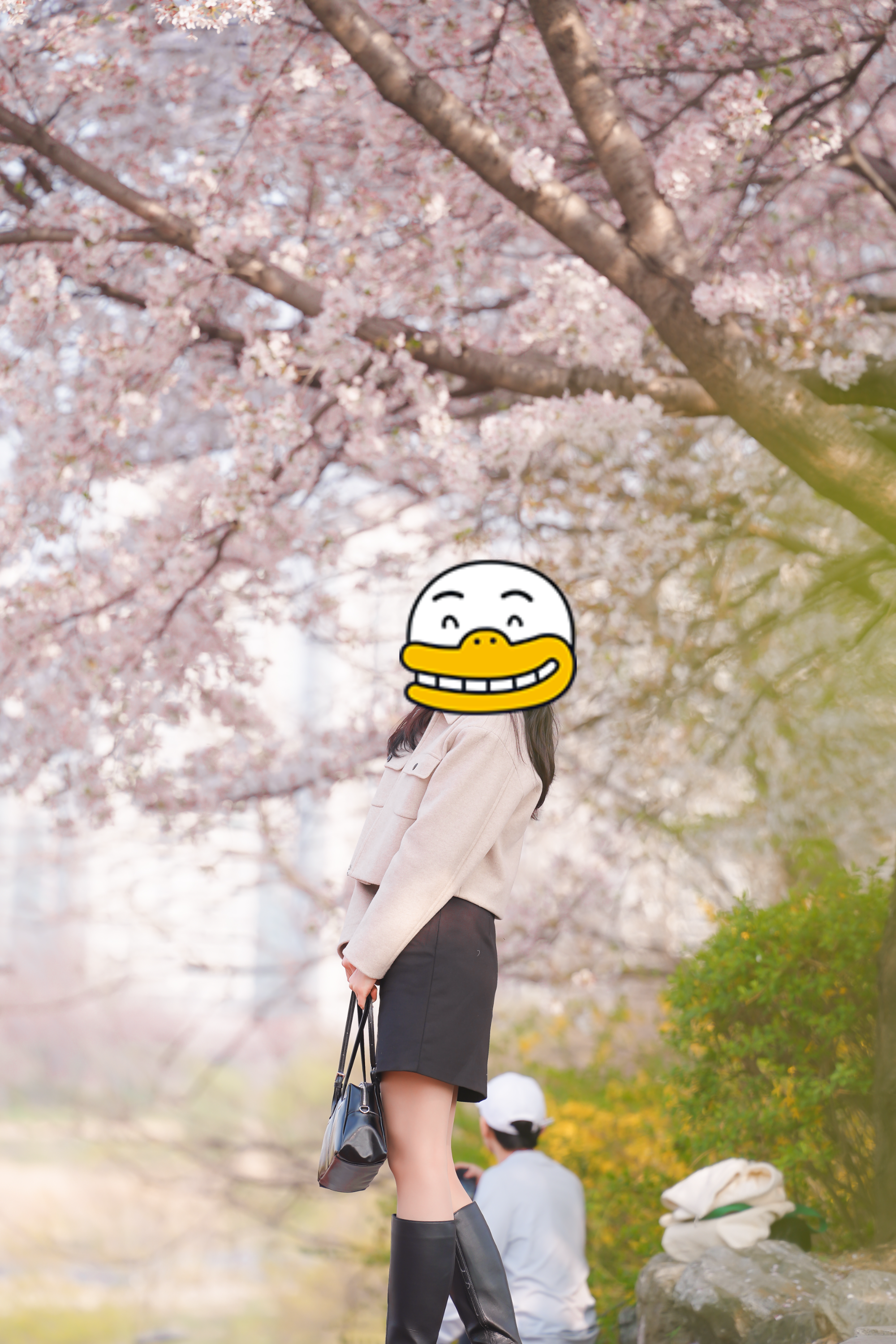 수서 탄천길 벚꽃