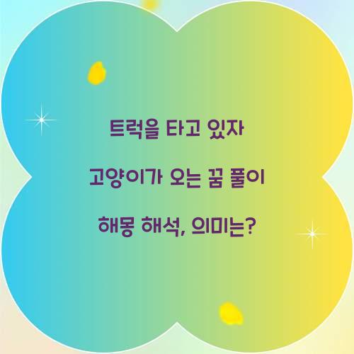 트럭을 타고 있자 고양이가 오는 꿈 풀이 해몽 해석