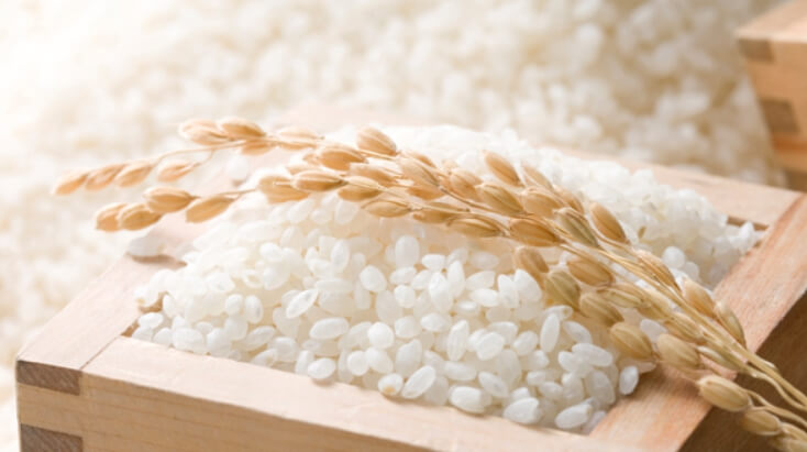 쌀, 우리의 생활 속에 빛나는 보물