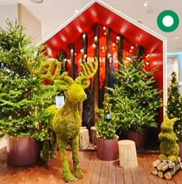 여의도/로맨틱/한강/크리스마스/마켓