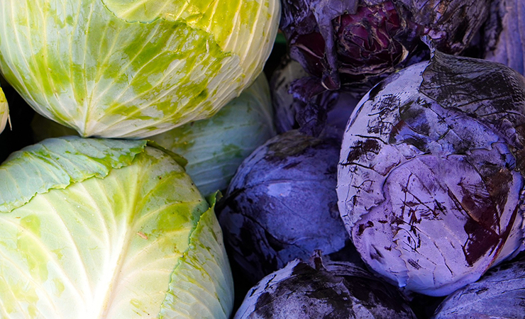 위염에 좋은 음식 베스트 양배추