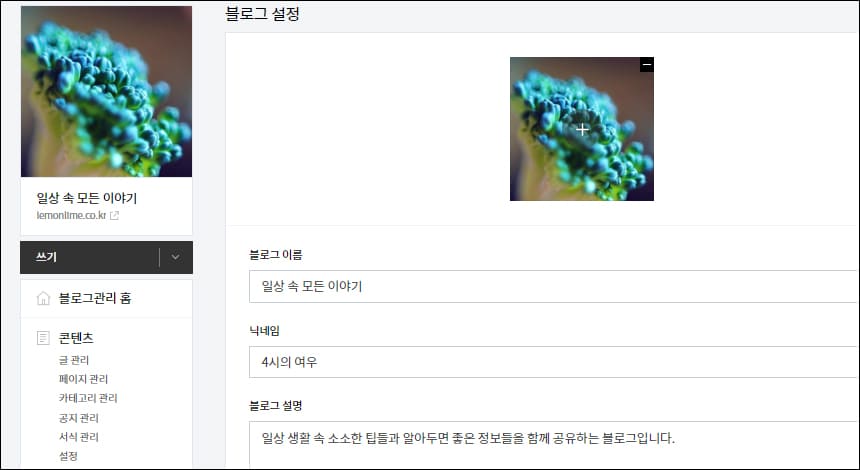 티스토리 블로그 설정