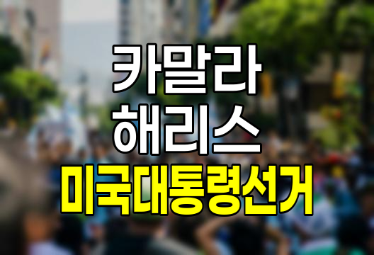 카말라 해리스, 미국 정치의 새로운 지평