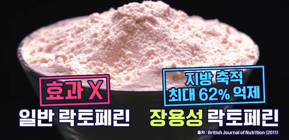 락토페린 효능