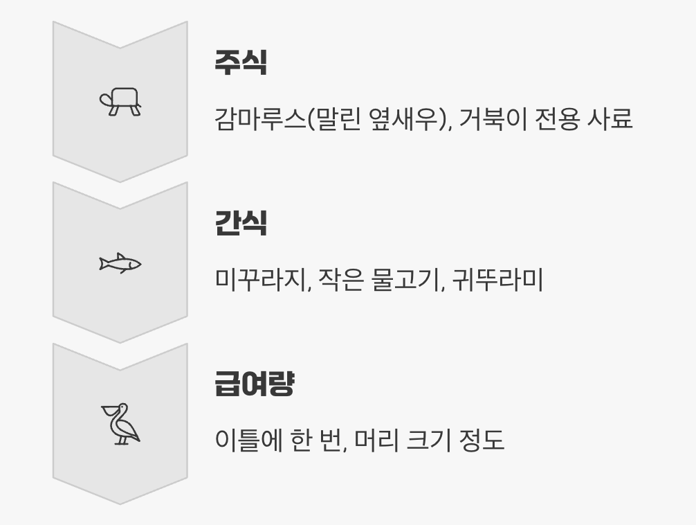 육식동물의 식사 시간 (먹이 가이드)