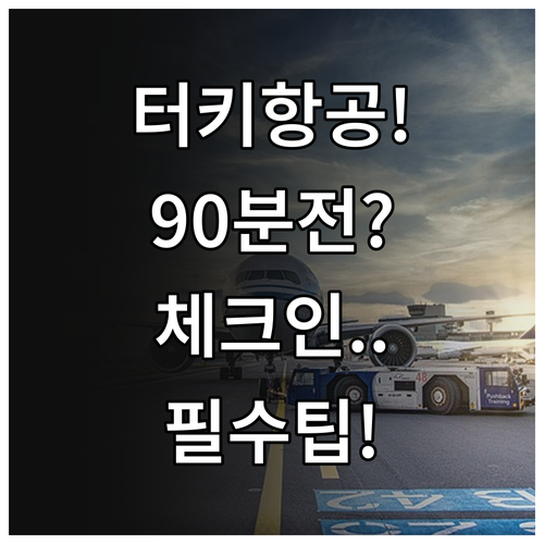 터키항공 출발 90분 전까지 알아야 ..