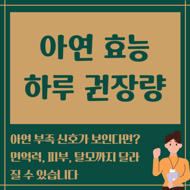 아연 효능 하루 권장량