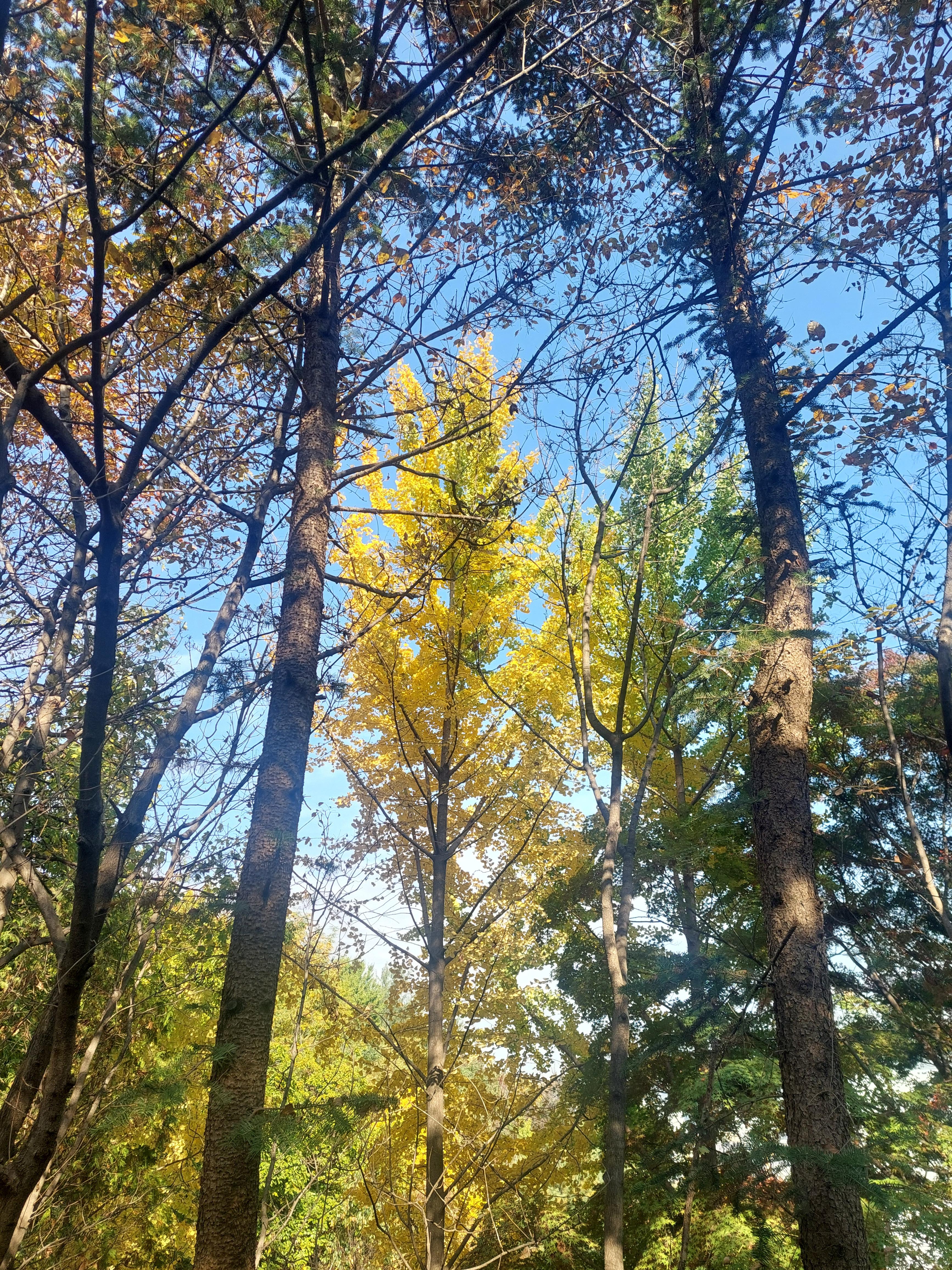 남산