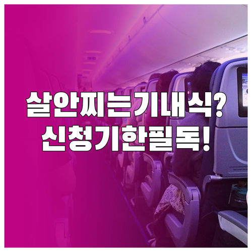 살 안 찌는 특별 기내식 종류와 항공..
