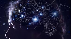 행동을 단정하지 않고 데이터 흐름을 해석하는 특수직업인, 생체 전기 신호 행동 예측 분석가