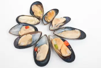 홍합 효능 및 영양성분, 가격