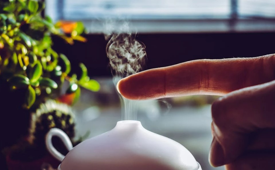 가습기 청소법 완벽 가이드 - 건강을 지키는 필수 관리법