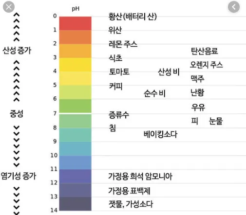 알카리수 효능과 알칼리수 부작용까지 완벽 분석_3