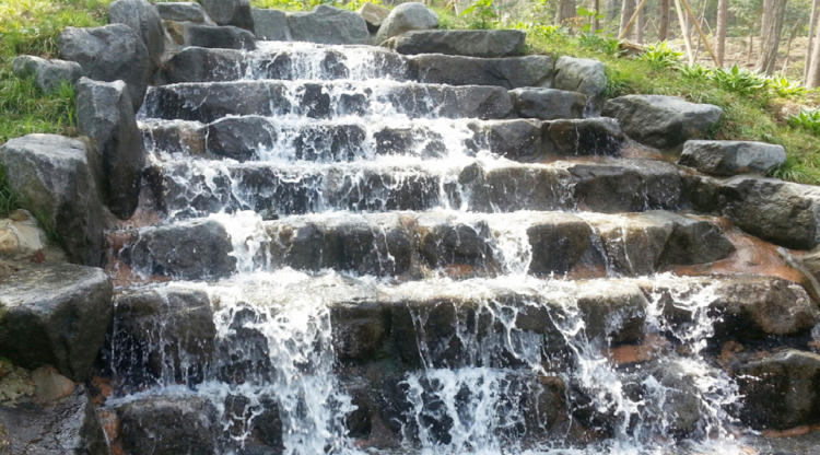 장흥 우드랜드 편백숲