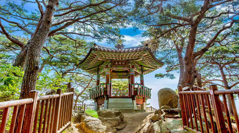 소나무 숲 사이에 자리하고 있는 하조대 팔각정