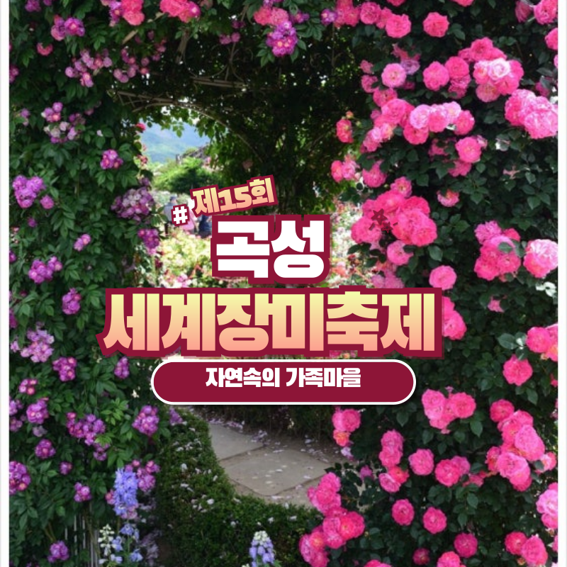곡성장미축제 | 곡성 가볼만한 곳 |🌹 제13회 곡성 세계장미축제 2025 – 1만 송이의 낭만 속으로! 🌹