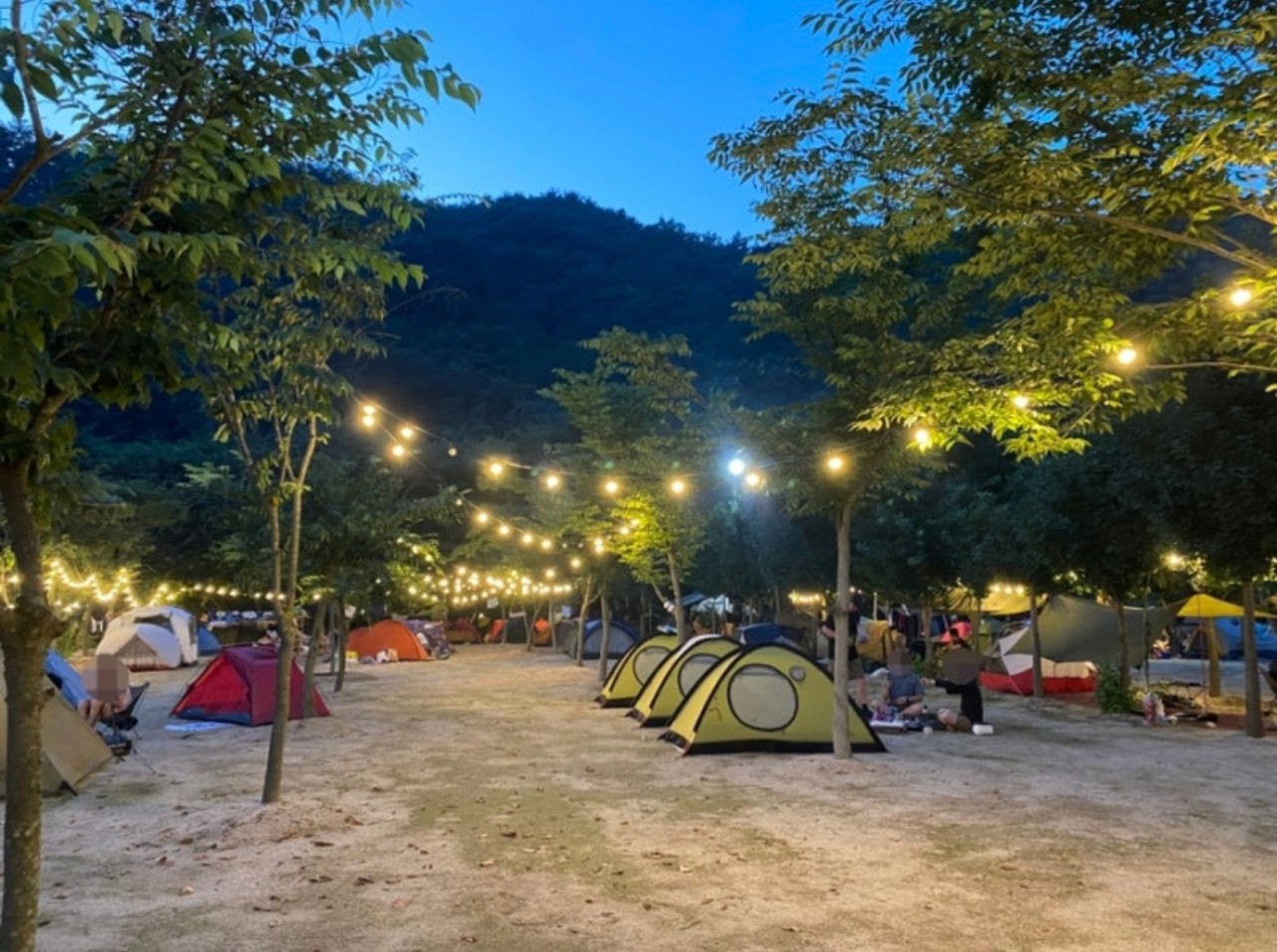 포천 도마치 자연그대로 캠핑장(도마치계곡) 프라이빗한 캠핑!