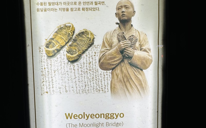 안동 월영교 야경 문보트 주차 팁부터 관람 코스까지 완벽 가이드 - 시각
