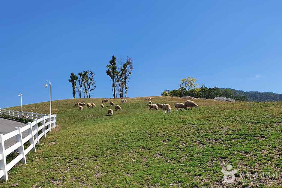 블랙스톤 벨포레 목장