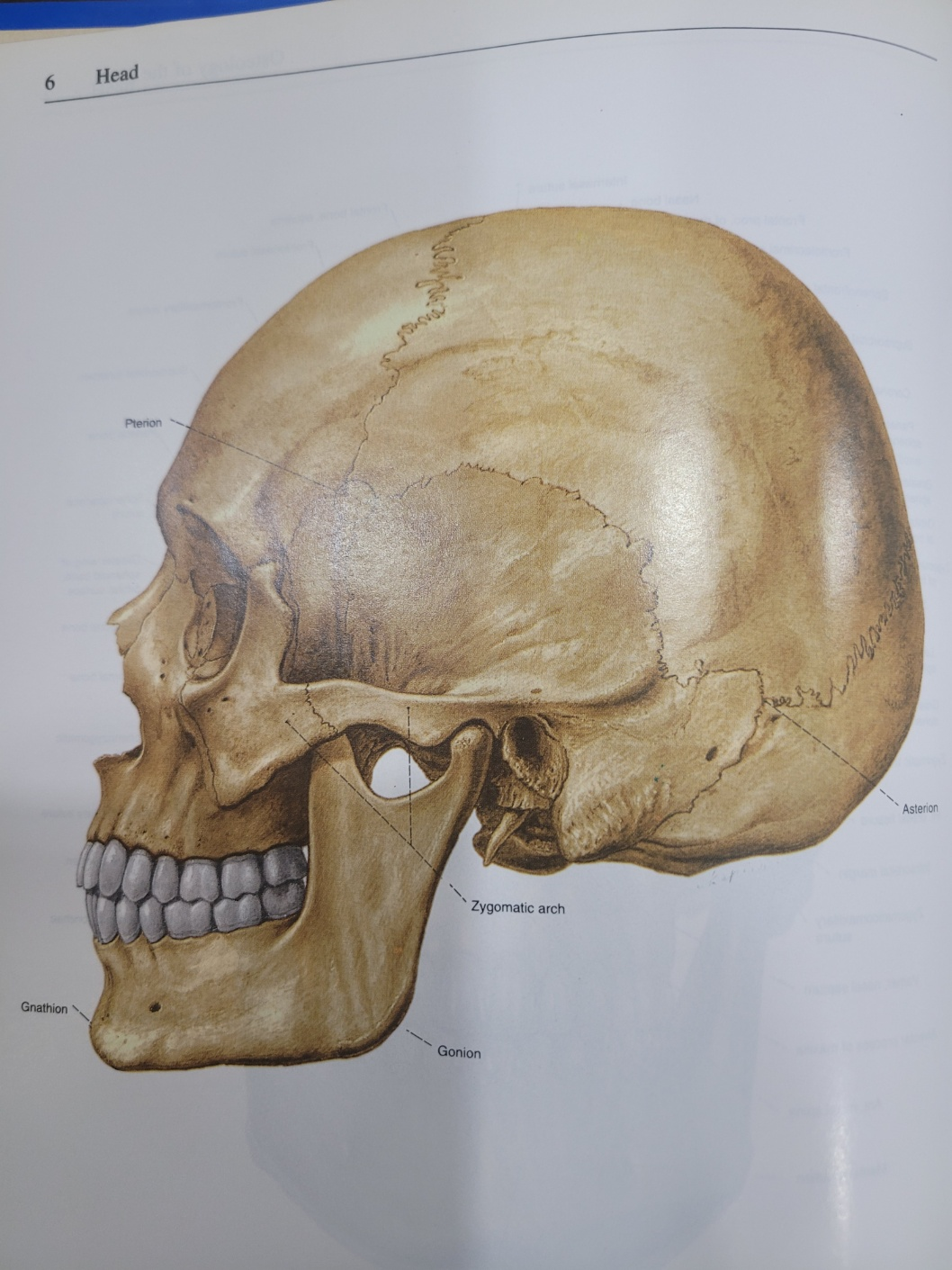 얼굴비대칭&middot;두통&hellip;범인은 턱관절?!