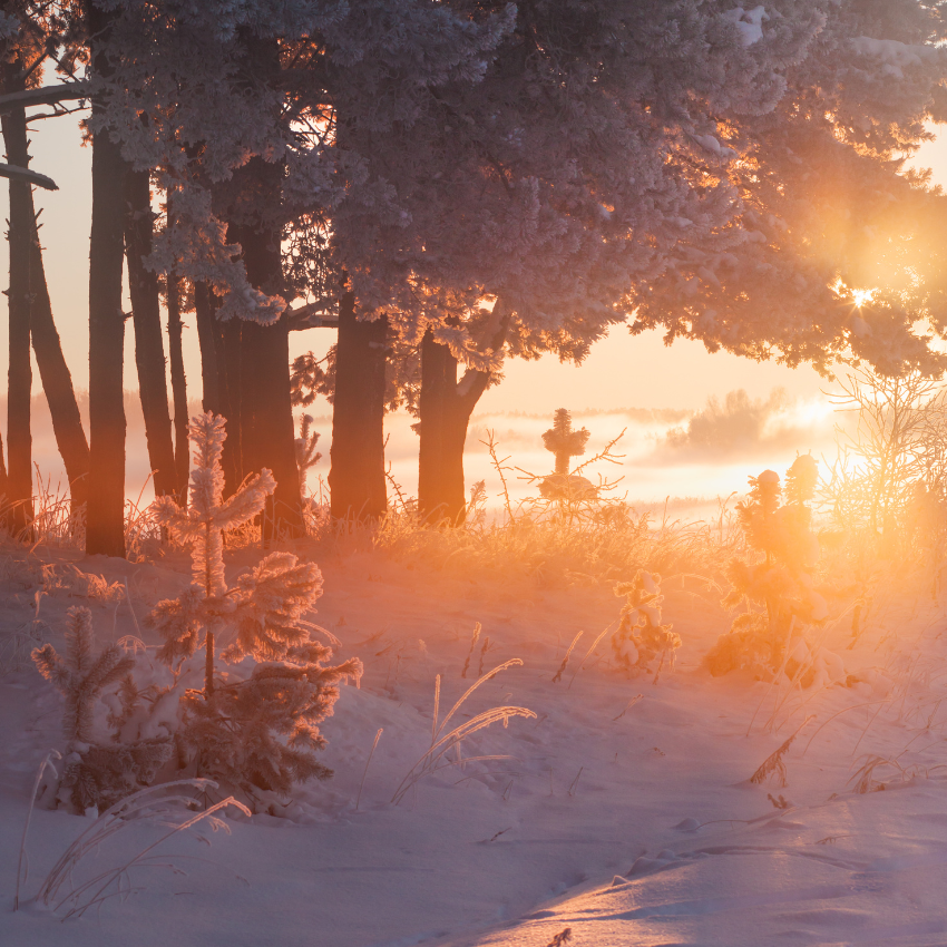 2024년 장마 기간 예측_6