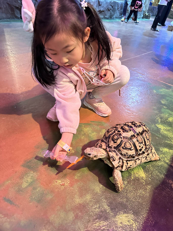 거북이 당근 주기