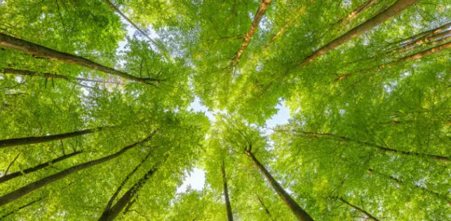 제로웨이스트 건축과 지속 가능한 도시 공간의 미래