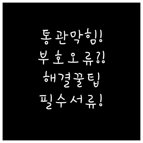 통관 보류 해제 개인통관고유부호 오류..