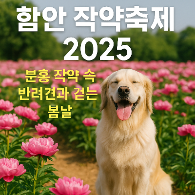 함안 작약축제 2025, 분홍빛 작약 속 반려견과 걷는 힐링 여행!