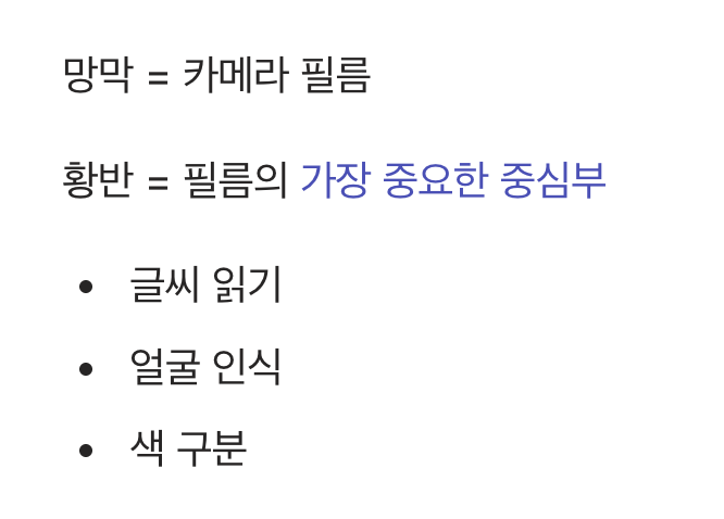 1. 우리 눈의 필름&amp;#44; 황반에 생긴 문제