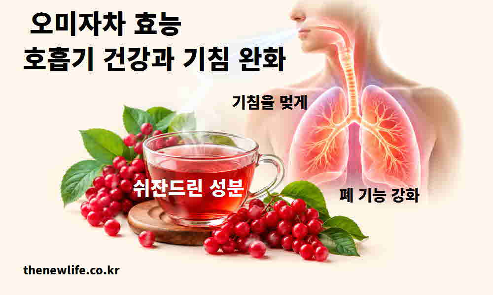 오미자차 효능 호흡기 건강 기침 완화